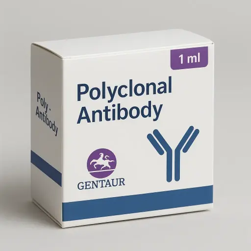 14-3-3 thet/tau Antibody