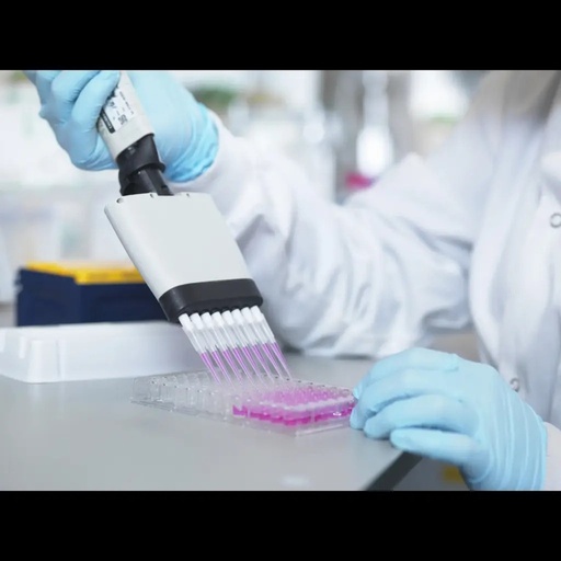 [CSB-3200] Bovine Cytokine receptor common subunit gamma(IL2RG) ELISA kit