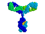 [GEN-ANTI-12] Gentaur CY 7 Antibody